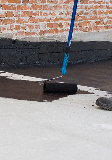 Plaster and Screed